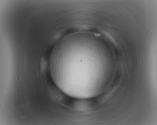 X0000114390123200910231024