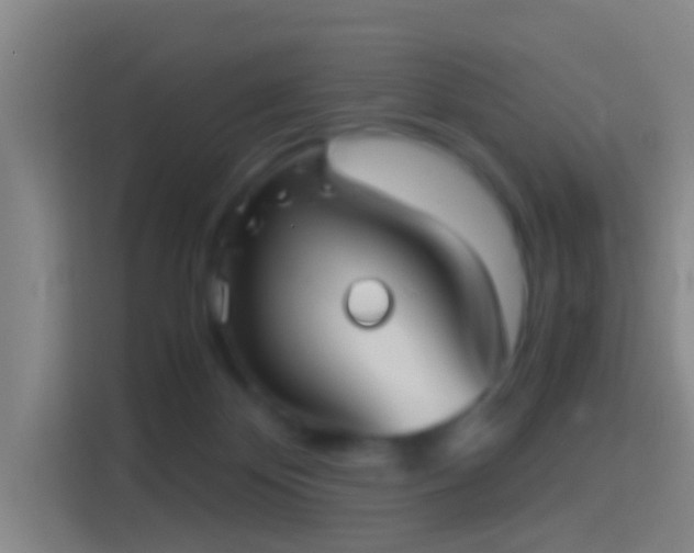 X0000114390124200910231024