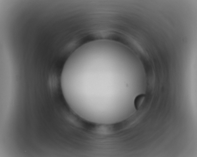 X0000114390126200910231024