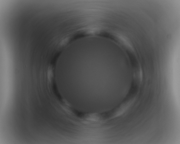 X0000114390127200910231024