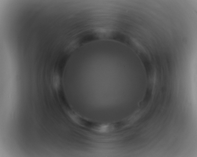 X0000114390130200910231024