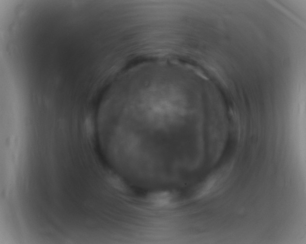 X0000114390131200910231024