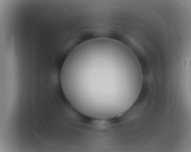 X0000114390133200910231024