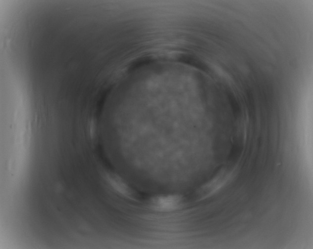 X0000114390134200910231024