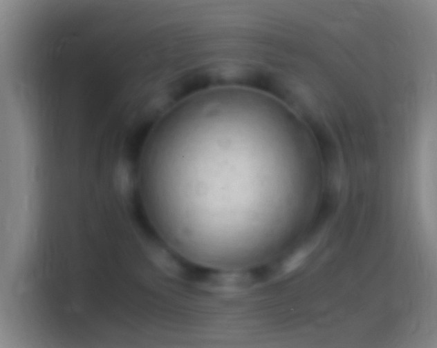 X0000114390135200910231024