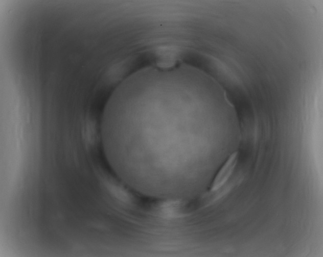 X0000114390136200910231024