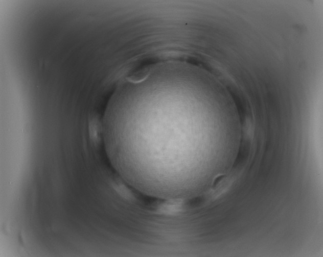 X0000114390138200910231024