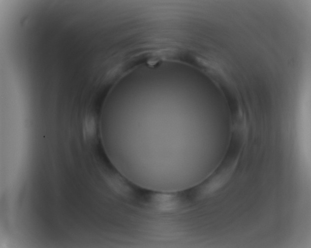 X0000114390139200910231024