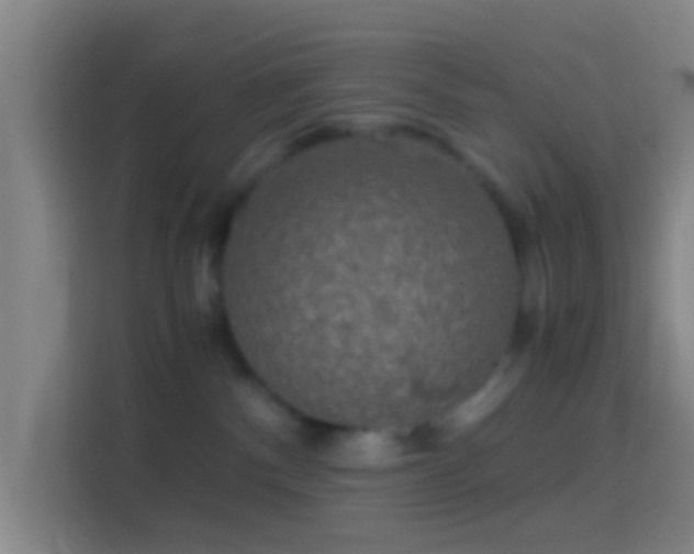 X0000114390140200910231024