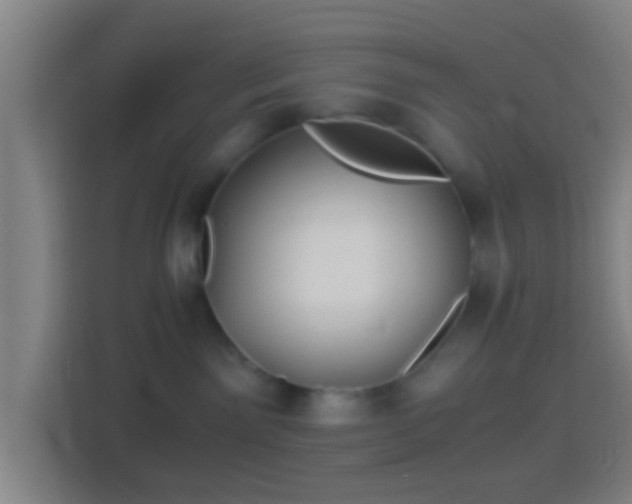 X0000114390141200910231024