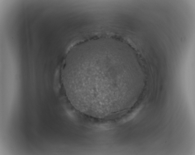 X0000114390144200910231024