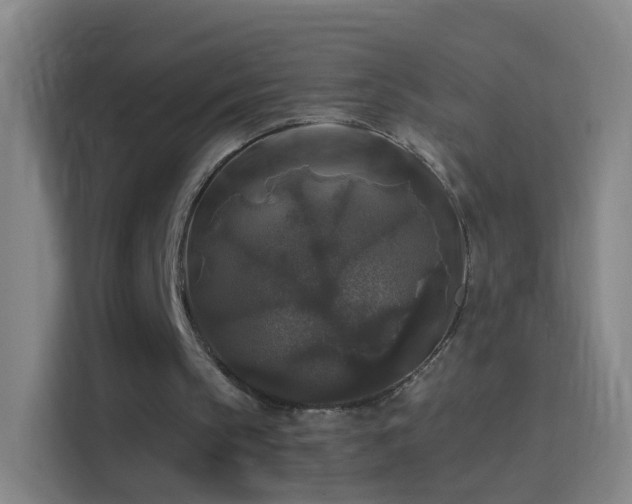 X0000114390145200910231023