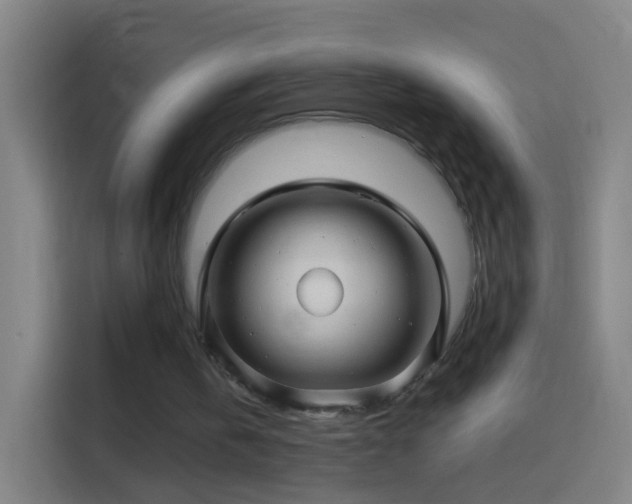 X0000114390146200910231023