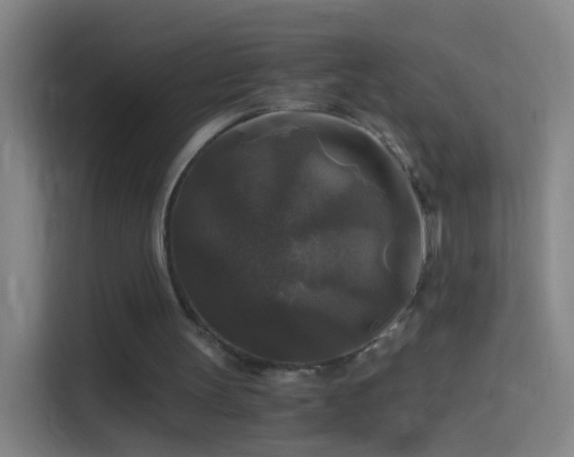 X0000114390147200910231023
