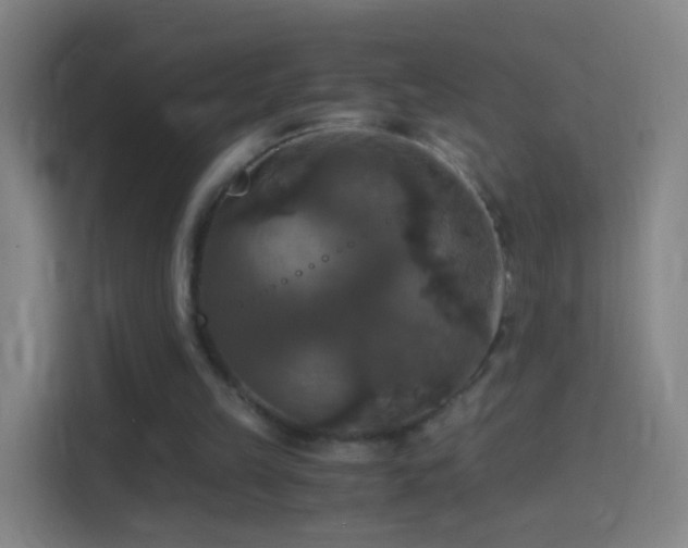 X0000114390149200910231023