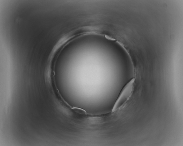 X0000114390150200910231023