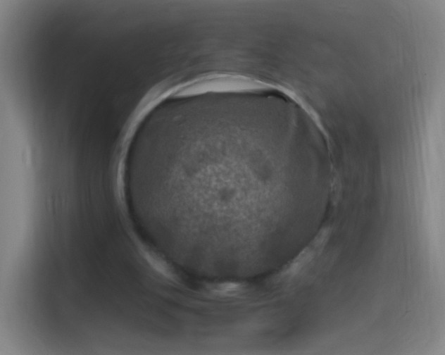 X0000114390151200910231023