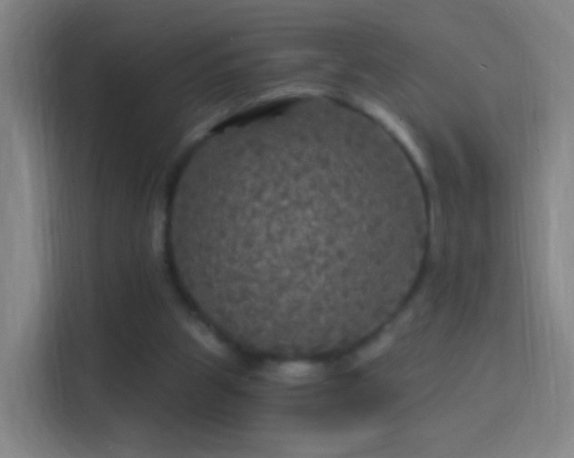X0000114390153200910231023