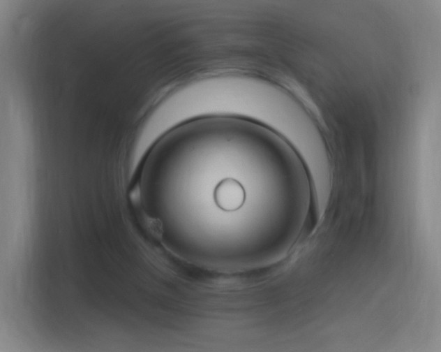 X0000114390154200910231023
