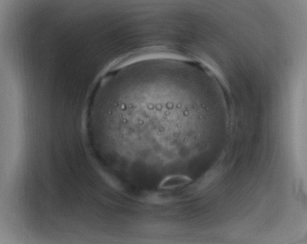 X0000114390155200910231023