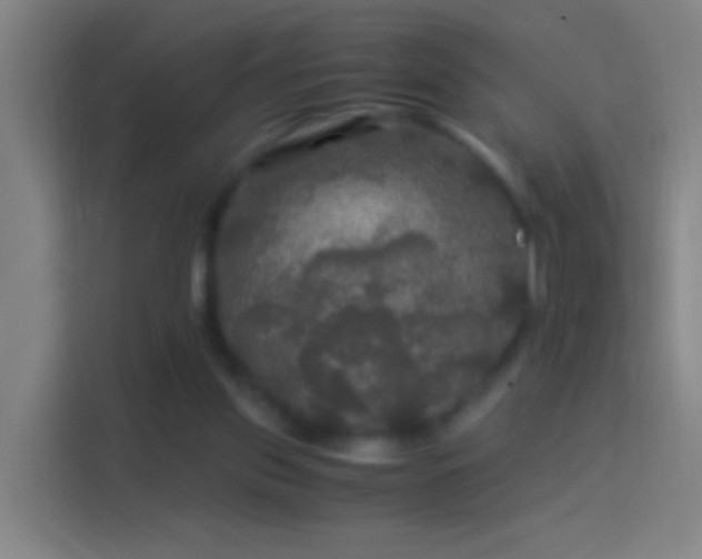 X0000114390157200910231023