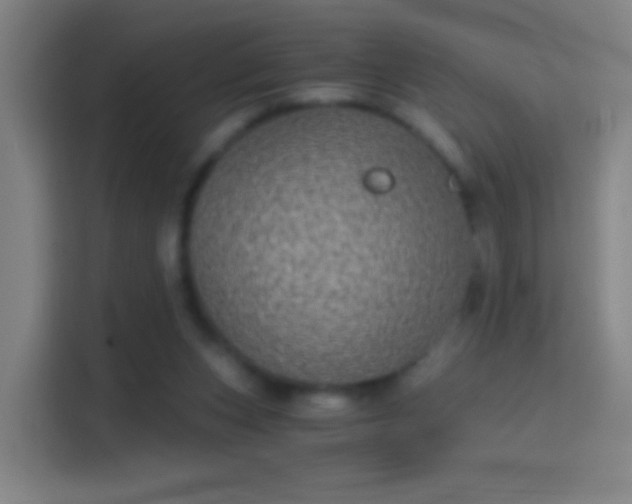 X0000114390159200910231023