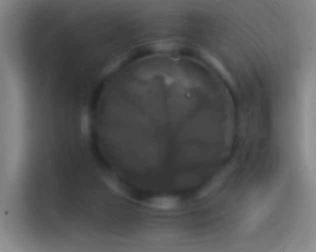 X0000114390161200910231023