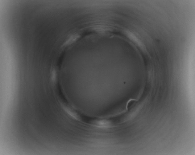 X0000114390165200910231024