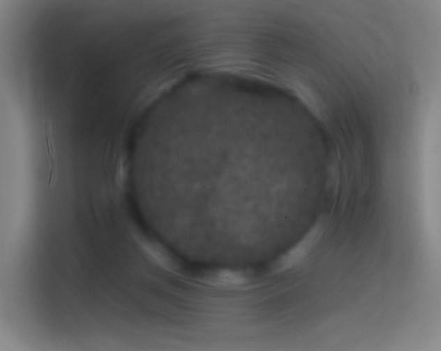 X0000114390166200910231024