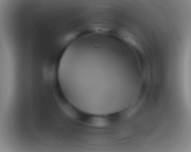 X0000114390167200910231024