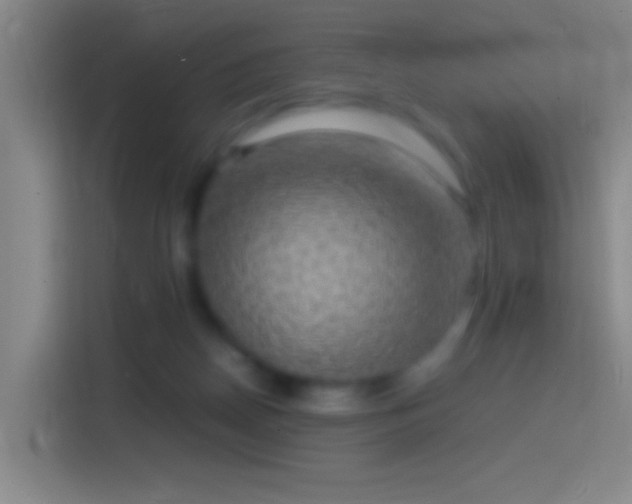 X0000114390170200910231024