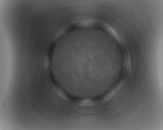 X0000114390173200910231024