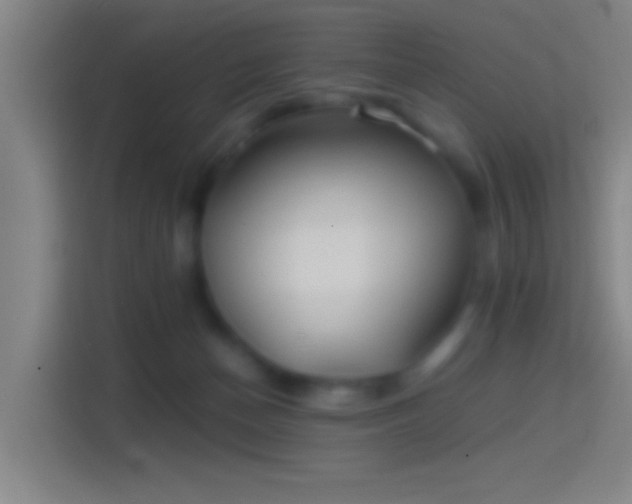 X0000114390174200910231024
