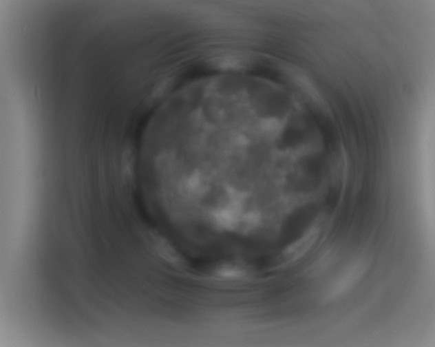 X0000114390175200910231024