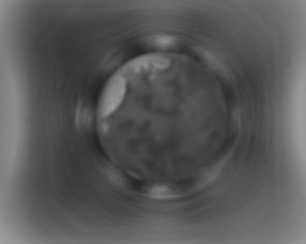 X0000114390177200910231024