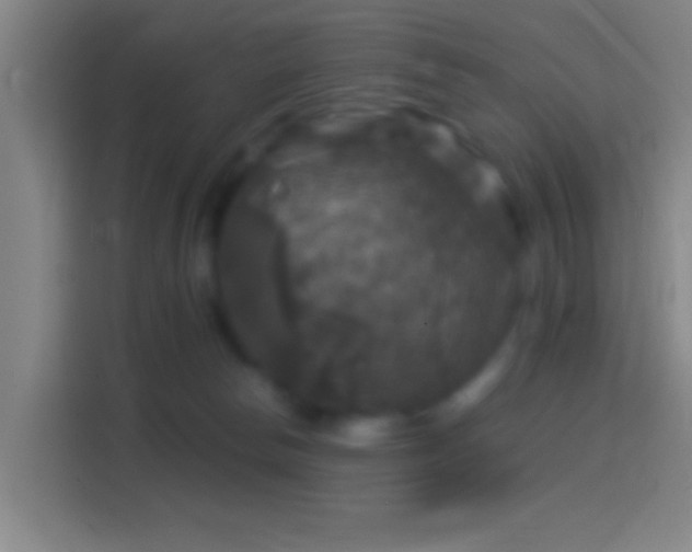X0000114390178200910231024
