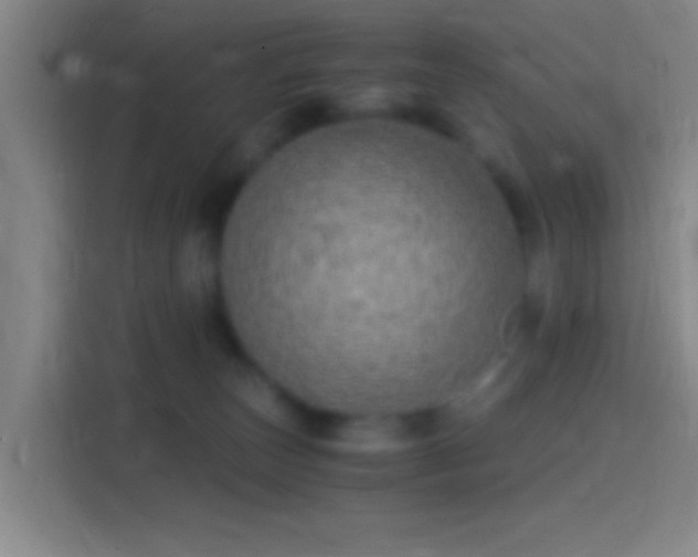 X0000114390179200910231024