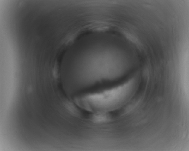 X0000114390181200910231024