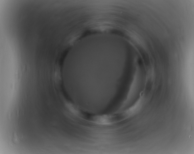 X0000114390182200910231024