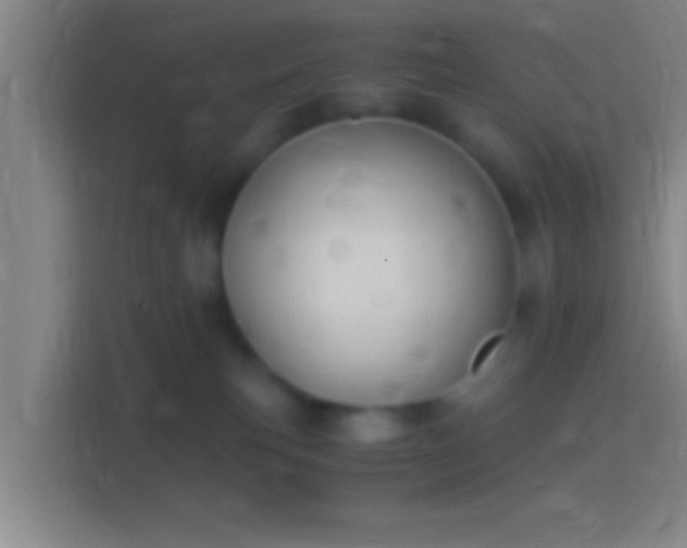 X0000114390183200910231024