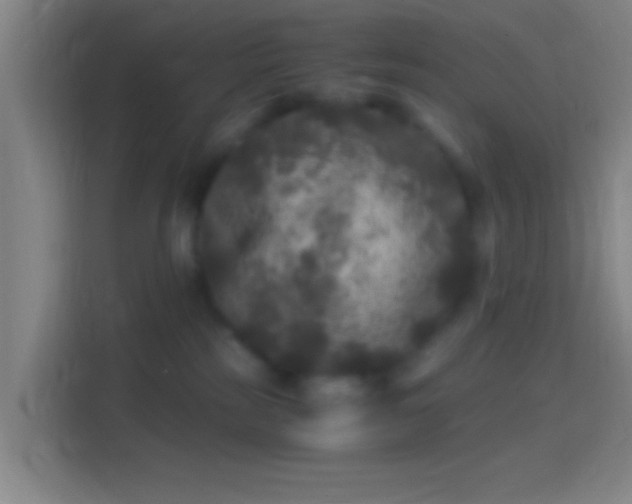 X0000114390185200910231024
