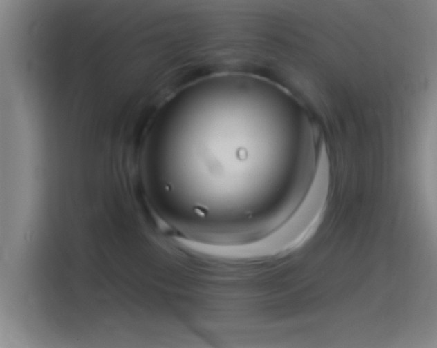 X0000114390186200910231024