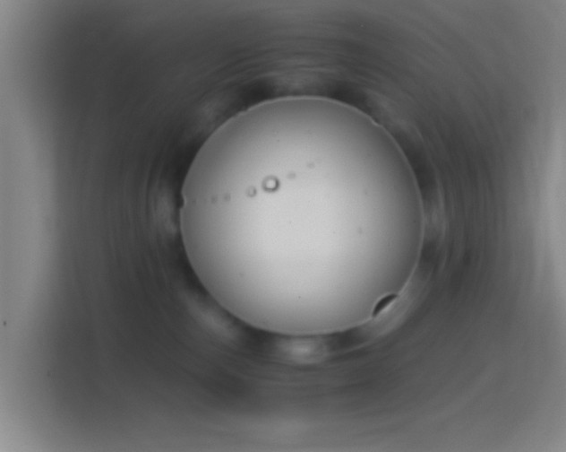 X0000114390187200910231024
