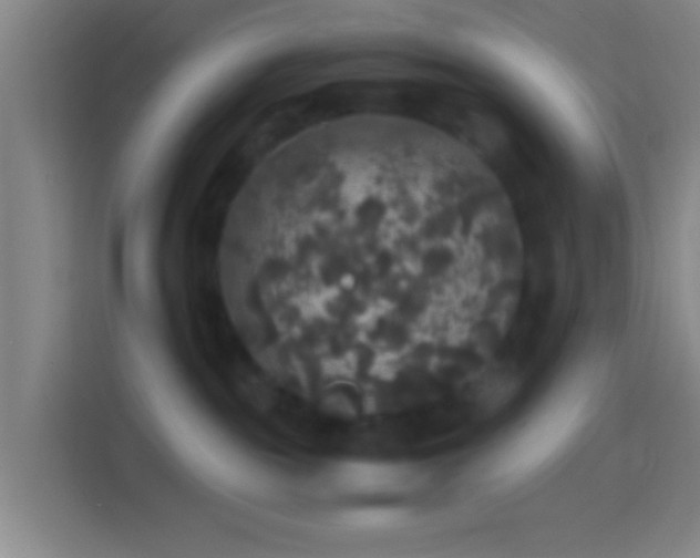 X0000114390189200910231024