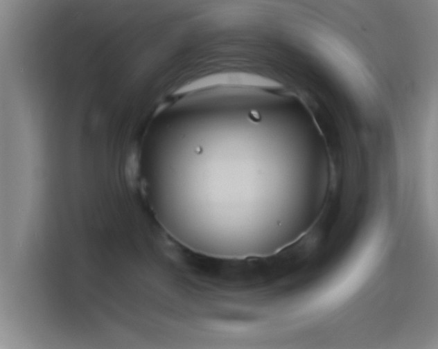 X0000114390190200910231024