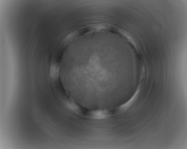 X0000114390191200910231024