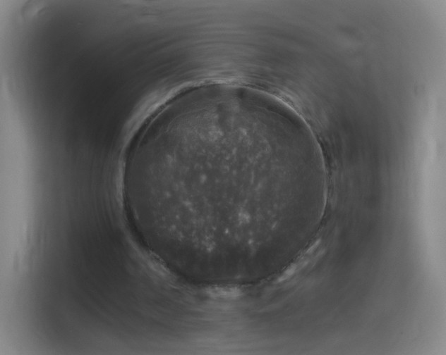 X0000114390194200910231023