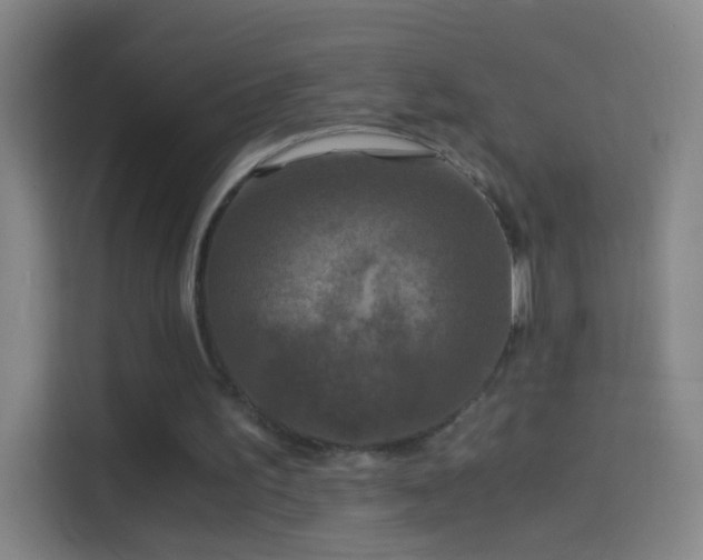 X0000114390195200910231023