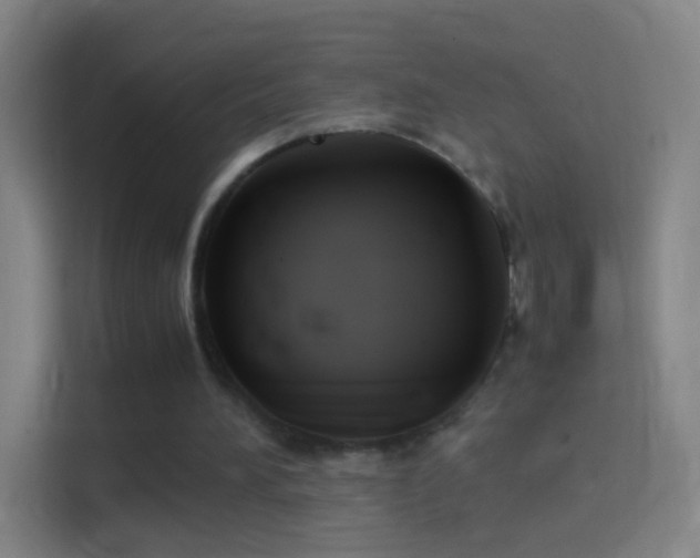 X0000114390196200910231023