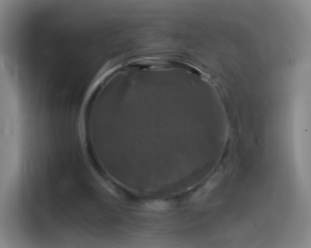 X0000114390198200910231023